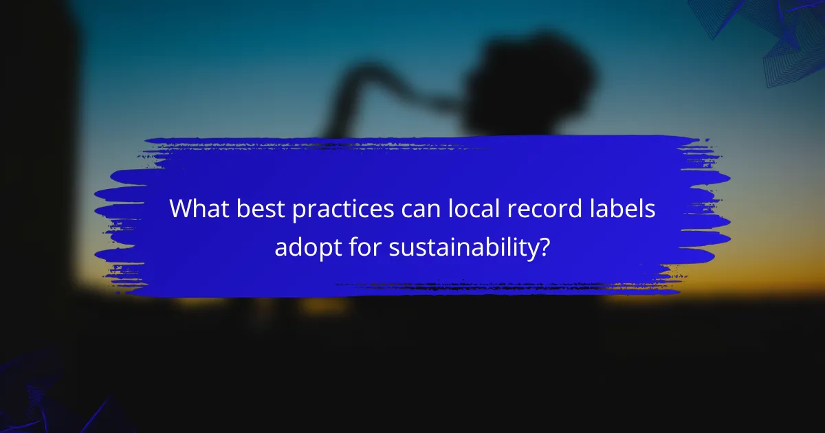 What best practices can local record labels adopt for sustainability?